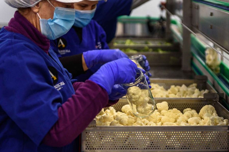 339669959 603272368349635 6999109393467782859 n b0236b28