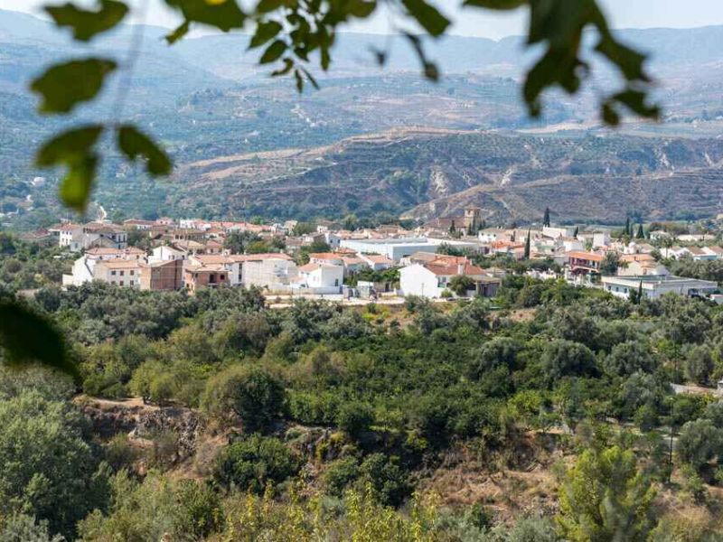 Diputación de Granada aprueba 80.000€ para apoyar los 8 Grupos de Desarrollo Rural de la provincia