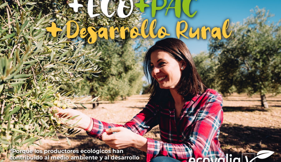 La producción ecológica, clave para conjugar sostenibilidad y desarrollo de las zonas rurales