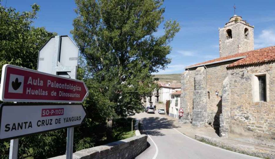 Cultura, champiñón, chorizo y desarrollo rural