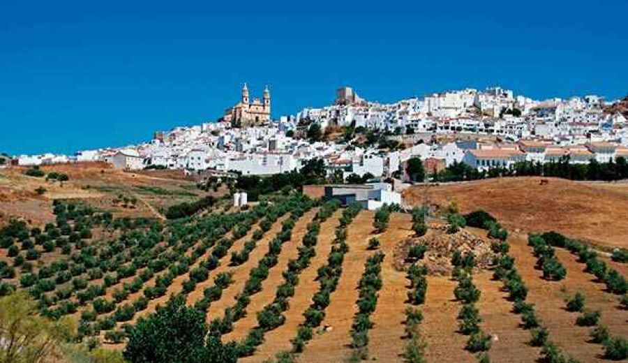 El Senado aprueba iniciativas para mejorar la vida en el medio rural