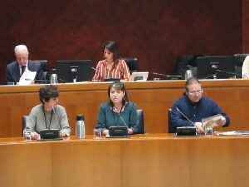 Los Grupos Leader muestran a las Cortes de Aragón su preocupación por el mantenimiento del presupuesto pactado hasta 2020 y los efectos que su incumplimiento podría tener para el medio rural aragonés