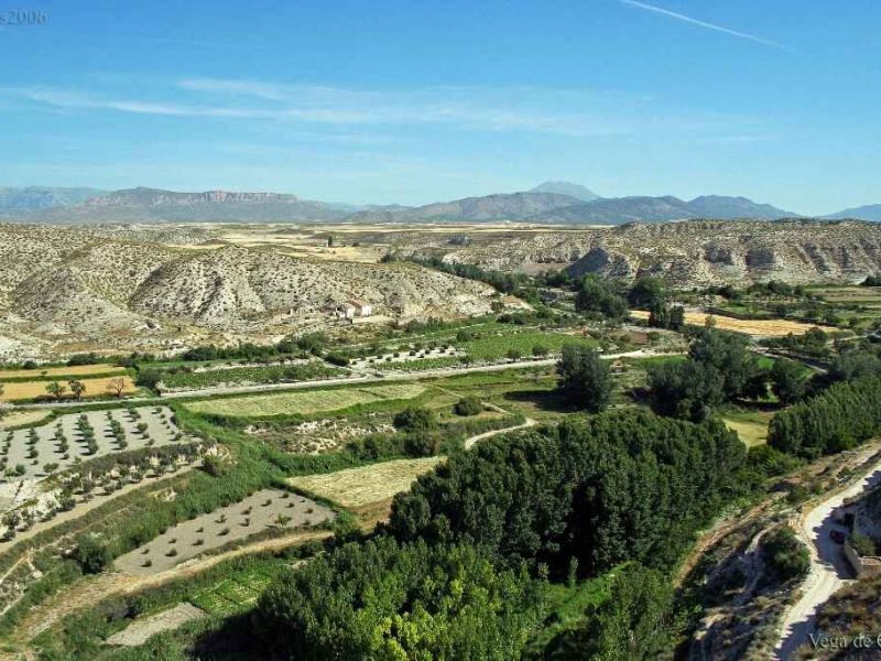 68 proyectos de desarrollo rural optan a las ayudas LEADER 2020 del GDR Altiplano de Granada