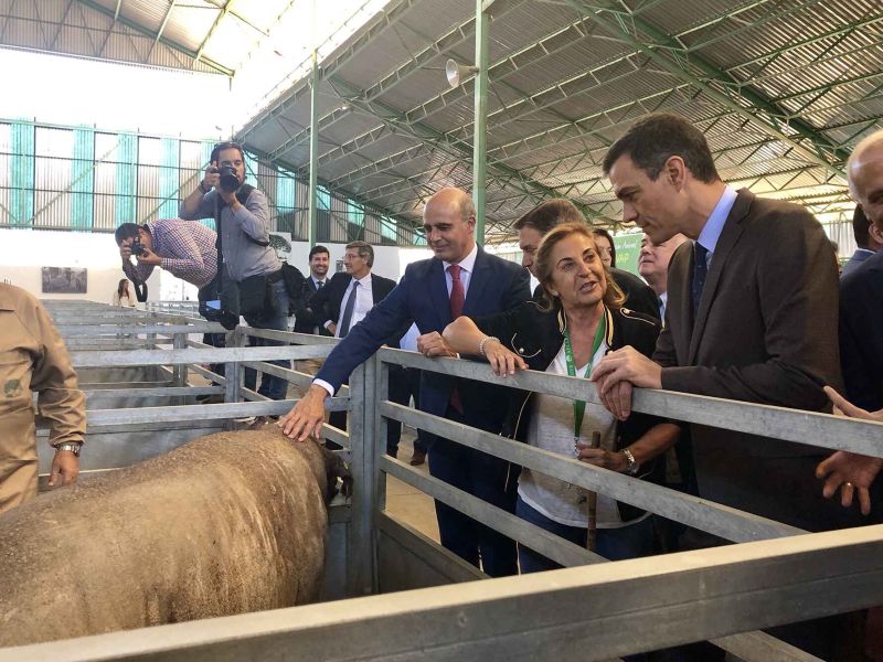 Pedro Sánchez defiende una PAC bien financiada y que aborde los nuevos desafíos del mundo rural