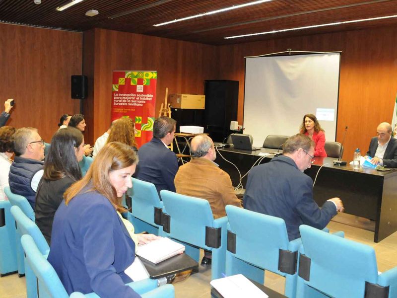 Los Grupos de Desarrollo Rural de Sevilla presentan su hoja de ruta para apoyar con LEADER nuevos proyectos