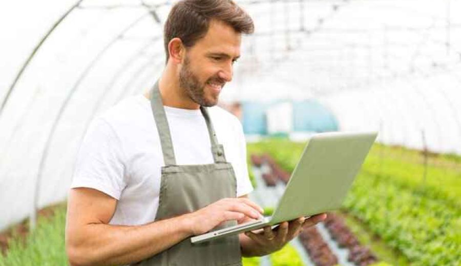 10 ventajas del teletrabajo desde el entorno rural