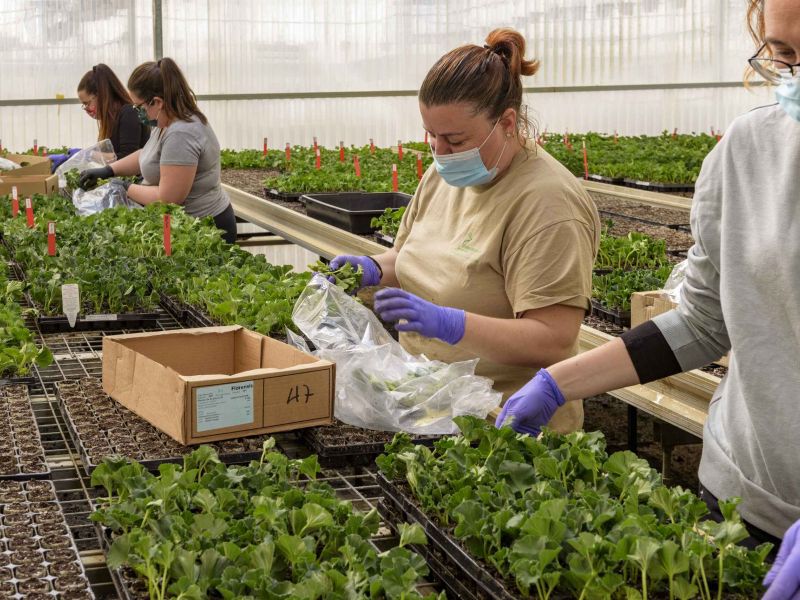 Los Grupos de Desarrollo Rural de Málaga apoyan a los emprendedores rurales con más de 7,8M€