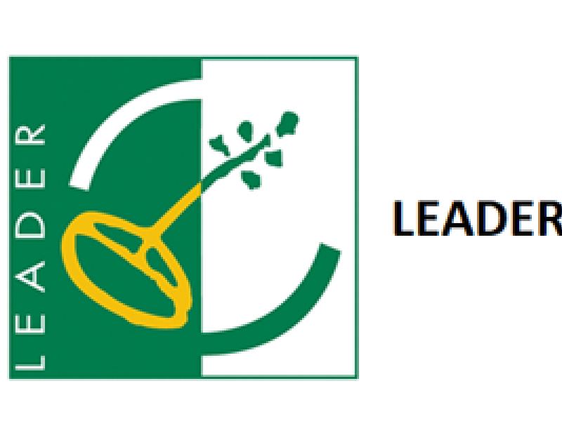 LEADER y desarrollo local participativo en el periodo de programación 2021-2027 (III). Ayuda preparatoria para las futuras EDLP.