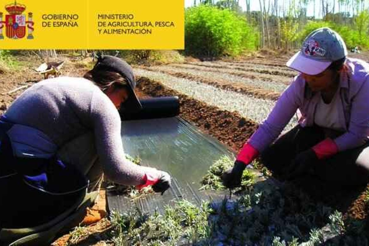 El Ministerio de Agricultura, Pesca y Alimentación concede los XI “Premios de Excelencia a la Innovación para Mujeres Rurales”