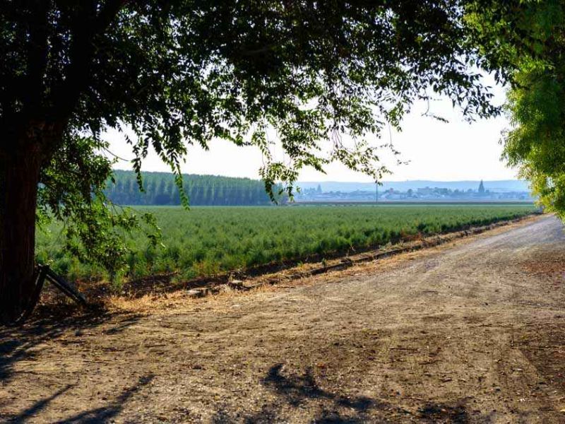 El LEADER de PROMOVEGA, comprometido con los 14 municipios de la Vega-Sierra Elvira