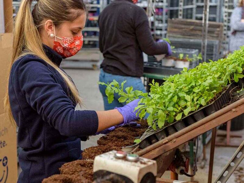 Educación y Agricultura firman un acuerdo para fomentar la FP y el relevo generacional en el sector agrario y pesquero