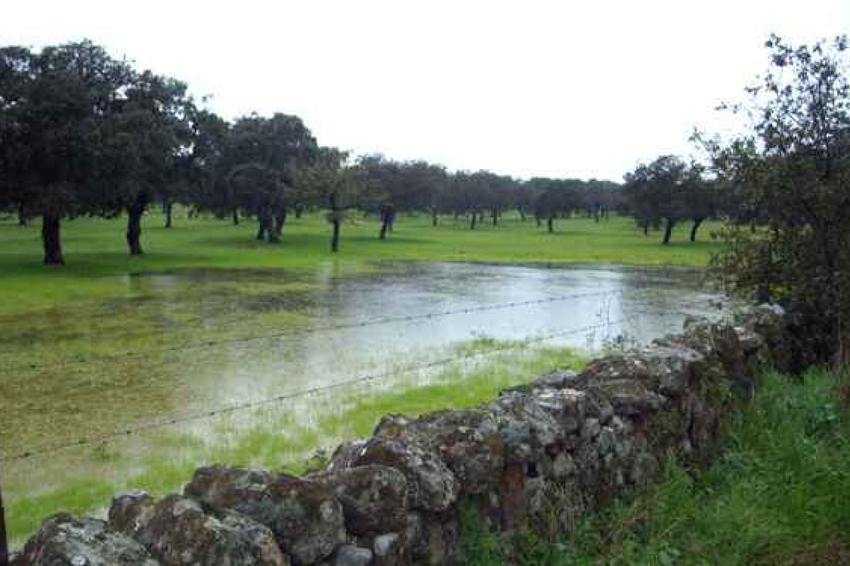 El Ministerio de Agricultura, Pesca y Alimentación organiza un congreso para debatir sobre “La arquitectura verde de la PAC post 2020”