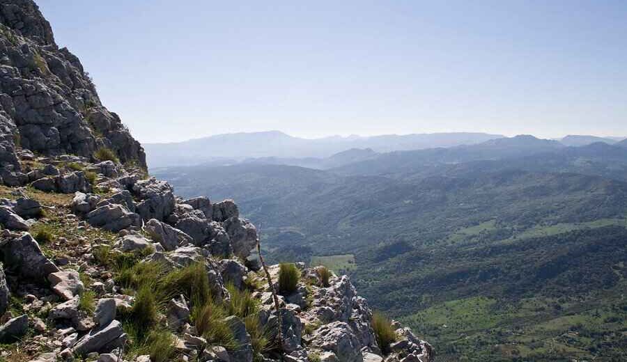SMART RURAL: Empleo Verde y Digital para un Desarrollo Sostenible