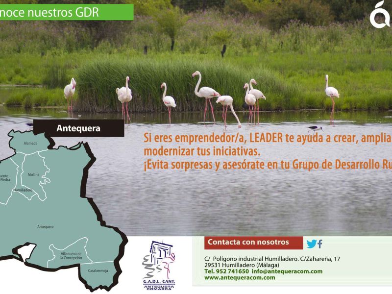 Agricultura concede ayudas LEADER por más de 516.000 euros para el desarrollo rural de la comarca de Antequera