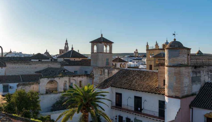 Campiña- Alcores de Sevilla: “LEADER ha generado un gran esfuerzo inversor del empresariado”