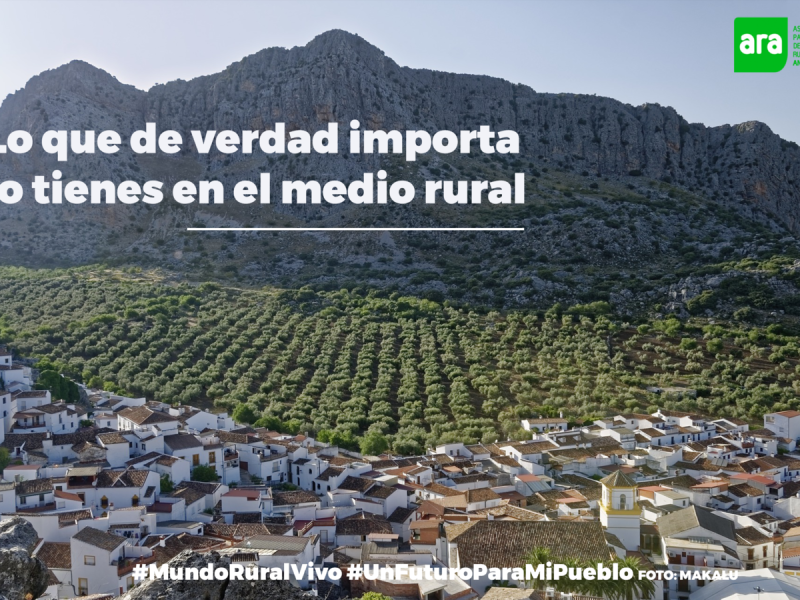Servicios que ofrecemos a los Grupos de Desarrollo Rural de Andalucía (GDR)