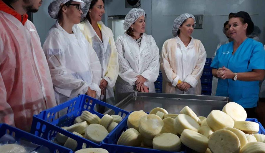 La Noria impulsa el proyecto Plan Fermenta que trabaja la inserción sociolaboral de personas con diversidad funcional en queserías de la provincia de Málaga