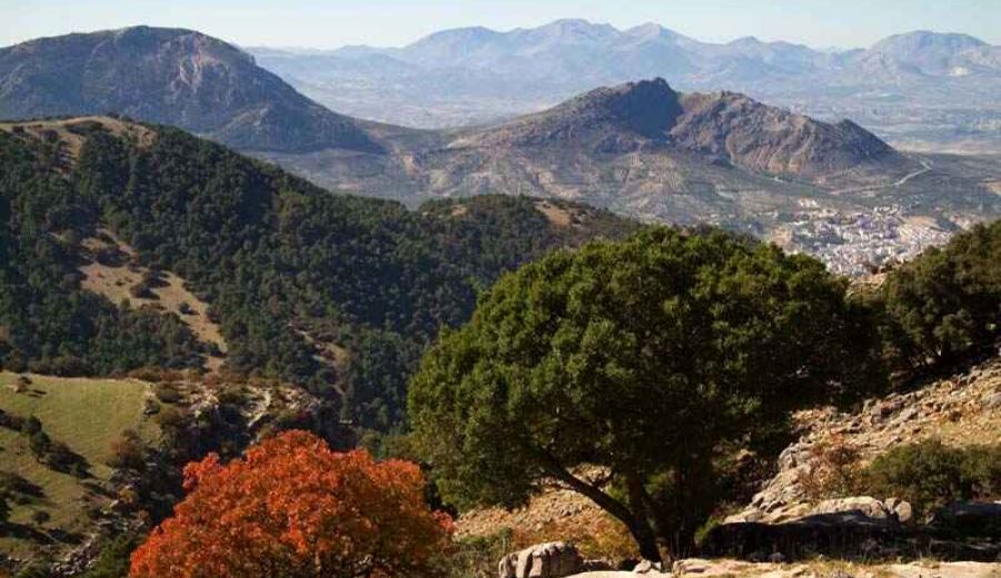 Sierras de Cazorla, Segura y Las Villas celebra sus 35 años como Parque Natural