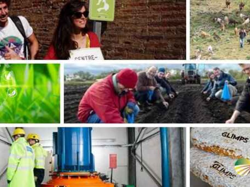 Diversos colectivos rurales europeos adoptan medidas de innovación social y de sostenibilidad medioambiental