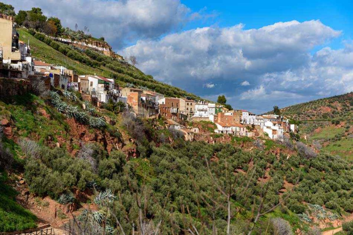 Comercio aprueba 110 proyectos para apoyar el sector comercial y los mercados rurales sostenibles
