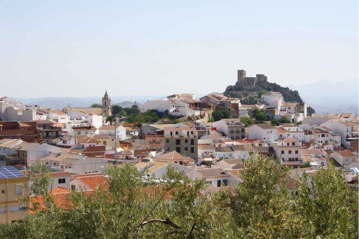 La Diputación de Córdoba presenta 124 actuaciones para los fondos de recuperación europeos