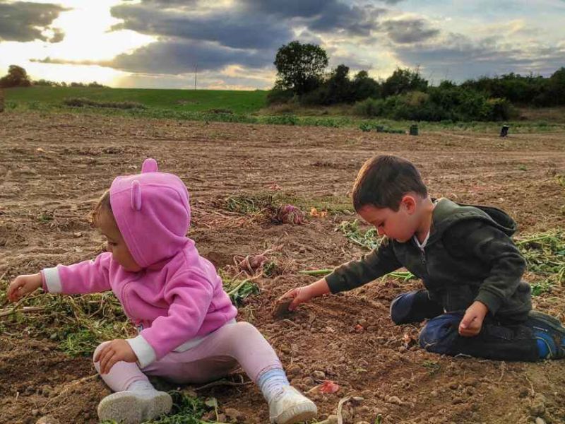 UPA felicita las fiestas navideñas con un cuento sobre los precios justos para agricultores y ganaderos
