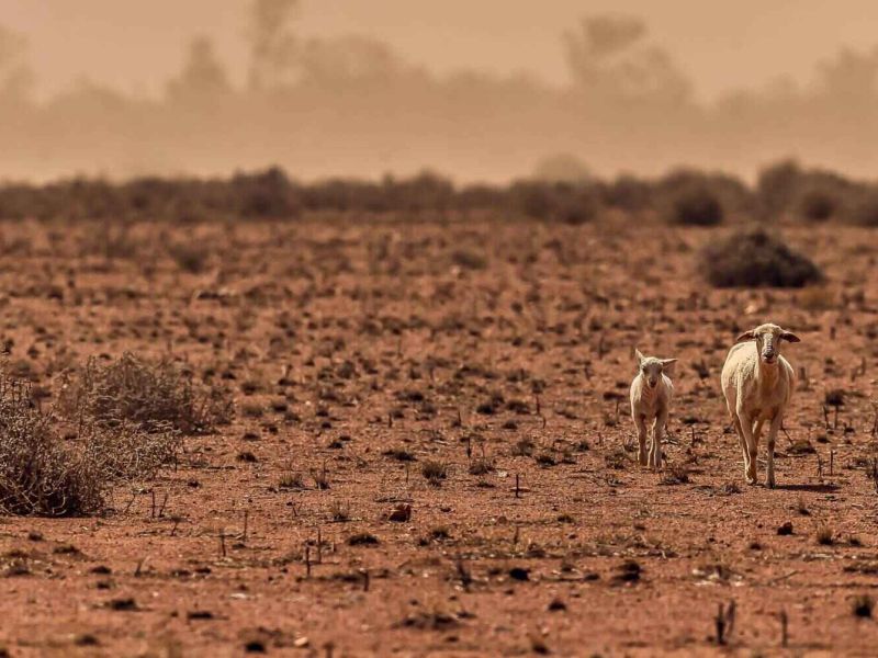 Lo que la España urbana debe a la España despoblada