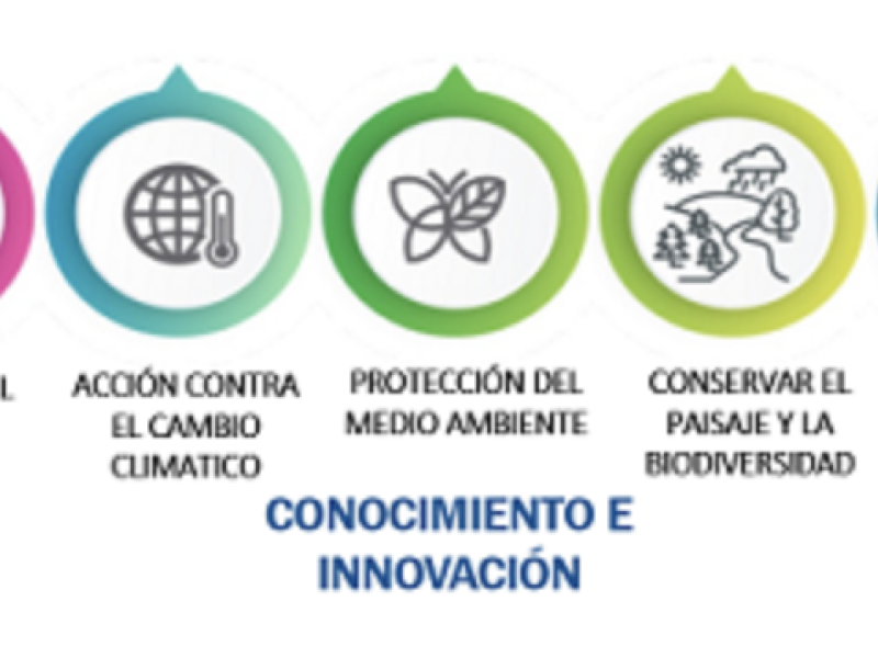 Un nuevo modelo de aplicación para la PAC orientado a la obtención de resultados