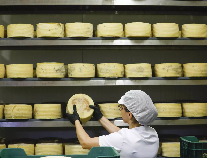 El GDR Los Pedroches participa en un Grupo Operativo para certificar la singularidad del queso de la dehesa cordobesa