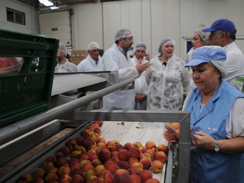 La industria agroalimentaria de Gran Vega de Sevilla crece con LEADER