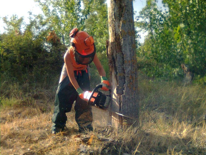 La mujer, el pilar invisible que sostiene el mundo rural