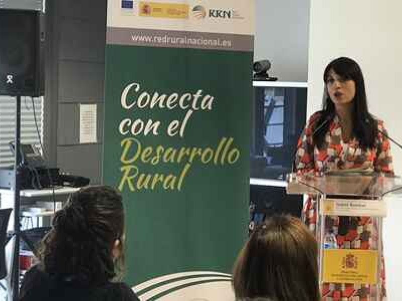 La creación del Subgrupo LEADER en la RRN, una reivindicación de REDR desde el inicio del actual período de programación que ya es una realidad