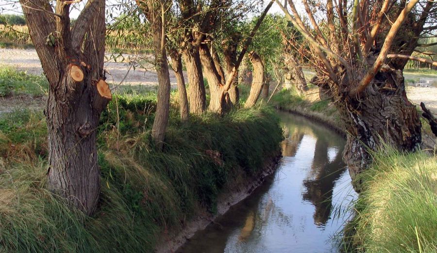 El GDR Altiplano de Granada crea la figura del “Contrato de Río” para la gestión sostenible del agua