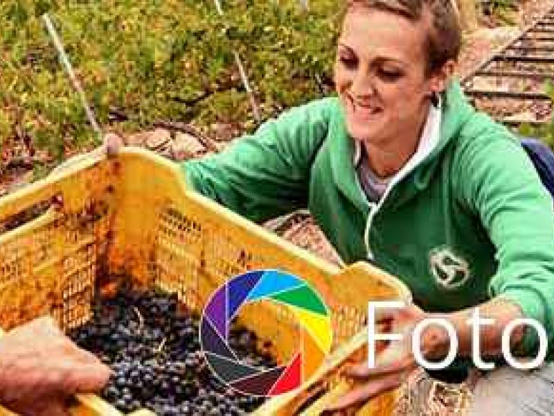 El músculo de las mujeres rurales, premio FADEMUR del concurso FotoRural