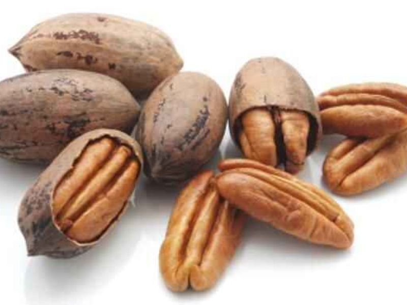 Convocan el I Concurso Gastronómico Nuez Pacana Comida Sana en el Valle del Guadalhorce