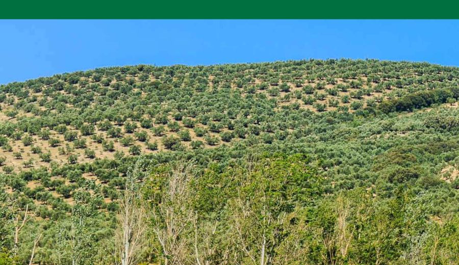 El Ministerio de Agricultura impulsa la formación como herramienta de modernización y cambio en el medio rural