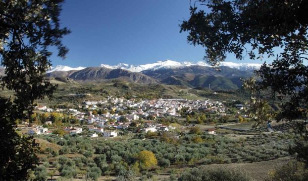 Grupo de Desarrollo Rural del Arco Noreste de la Vega de Granada