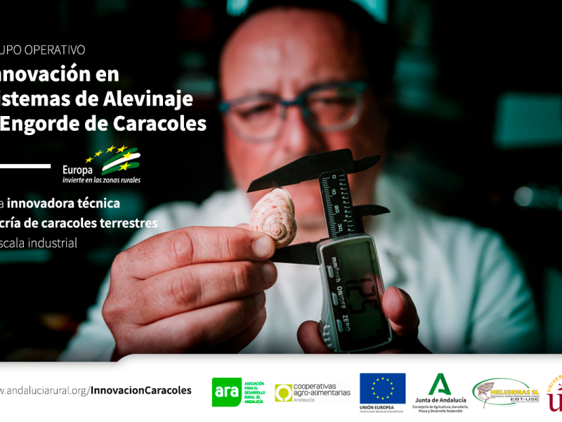 Vídeos del  Grupo Operativo “Innovación en sistema de alevinaje y engorde de caracoles”