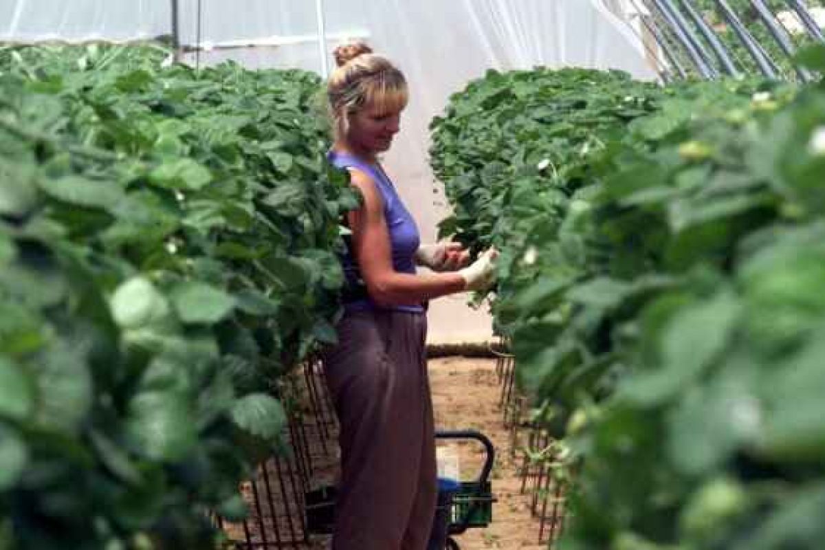 El empoderamiento de la mujer rural, un elemento clave para el futuro de la Humanidad
