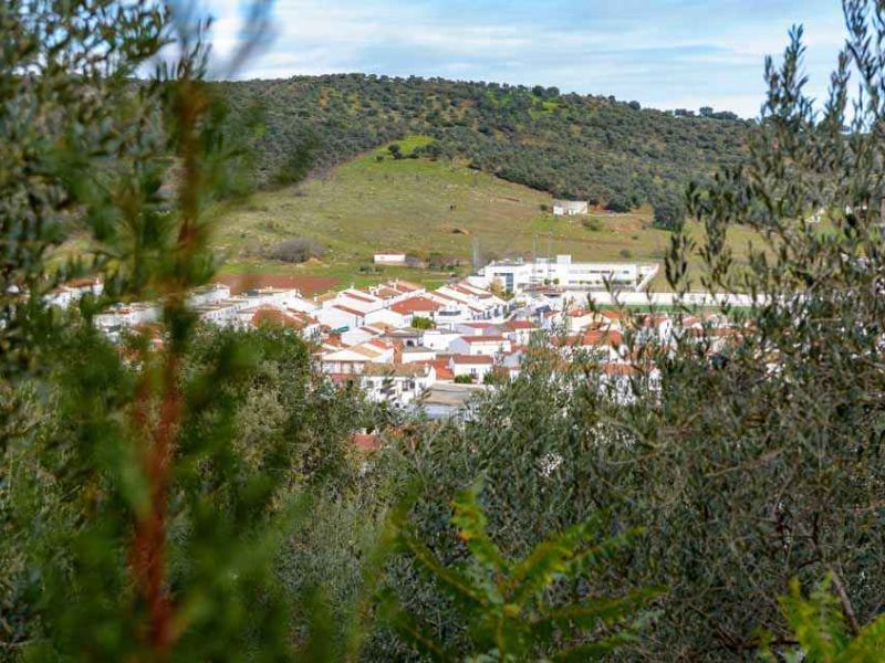 La inteligencia artificial llega a la ganadería de la Sierra Morena Sevillana