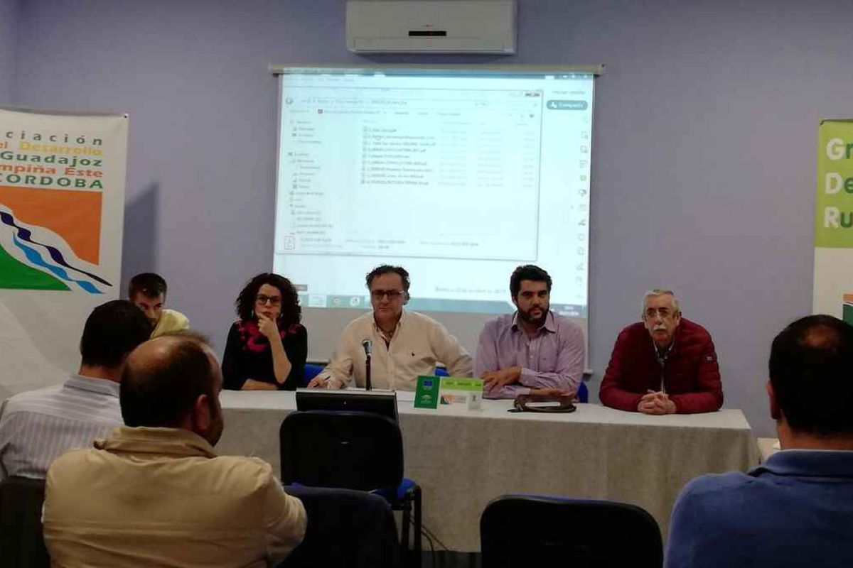 Guadajoz y Campiña Este de Córdoba, Valle del Guadalhorce, Medio Guadalquivir y Aljarafe-Doñana cooperan en un proyecto sobre energías renovables