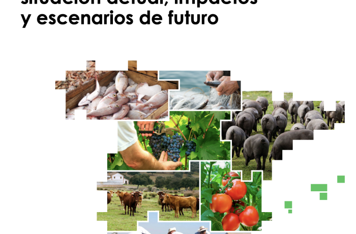 Hacia la transformación del sistema alimentario en España: situación actual, impactos y escenarios de futuro