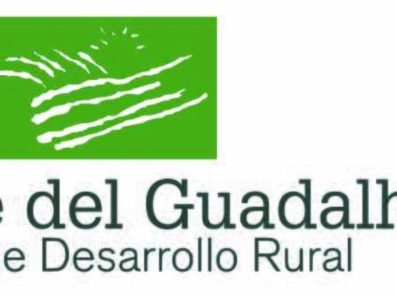 El GDR Valle del Guadalhorce organiza en Coín el intercambio juvenil Ready, Steady, ¡Go! Time to play