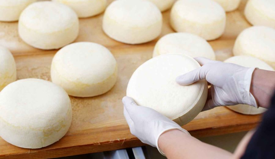 IFAPA pone en marcha una nueva edición del curso formativo de Especialista en Quesería