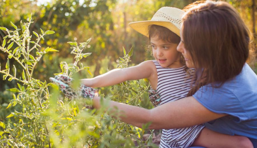 Los Grupos de Desarrollo Rural organizan actividades de dinamización para facilitar la preparación anticipada de proyectos LEADER 2023-2027