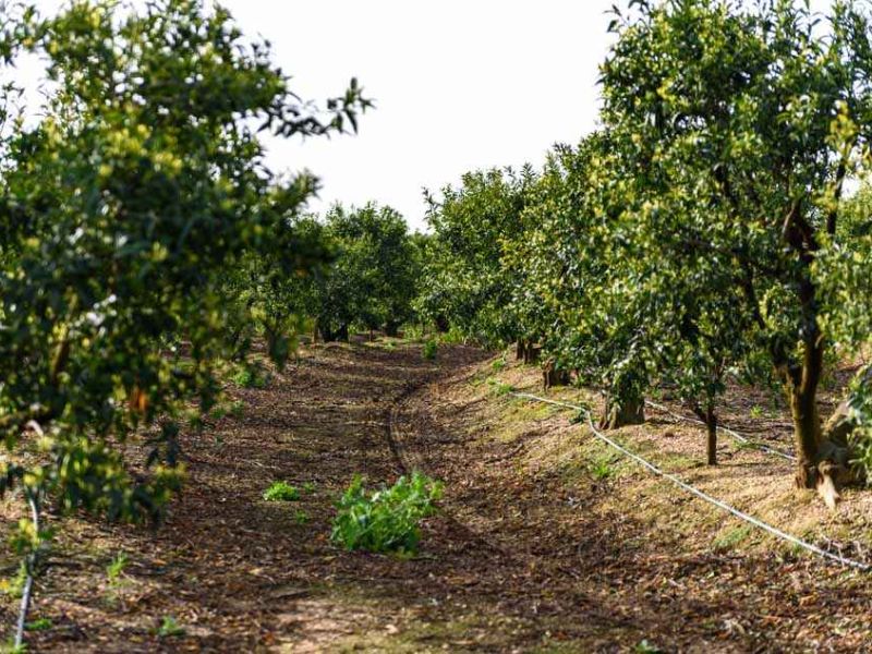 El Gobierno aprueba el I Plan de Acción de Economía Circular, con un presupuesto de 1.529 millones de euros