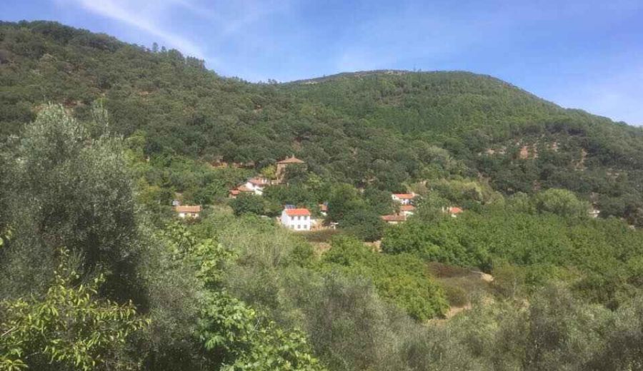 El Calabacino (Sierra de Aracena y Picos de Aroche), defensa de lo rural