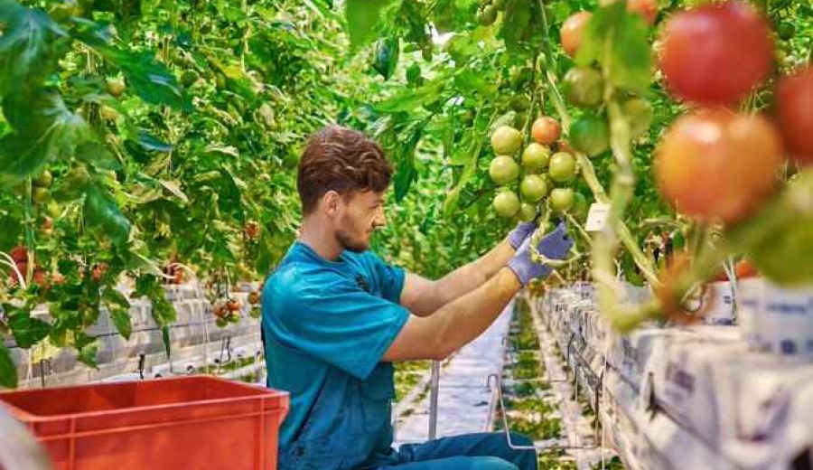 Emprendedores andaluces hacen de la agricultura un sector más eficiente a través de la tecnología