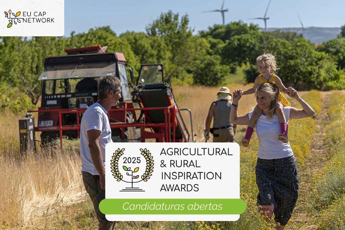 Última semana para presentar proyectos a los Premios ARIA 2025