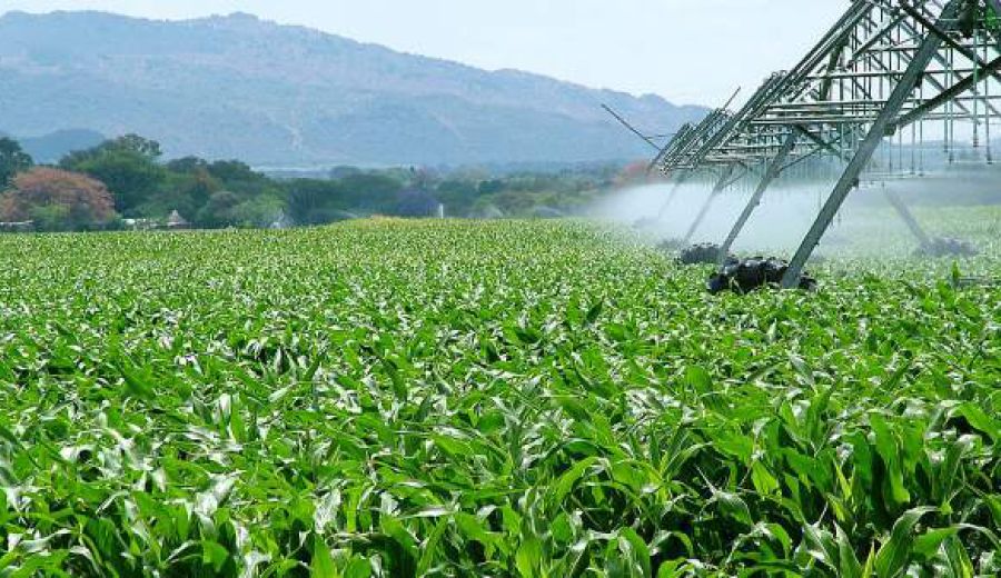 La Térmica expone el parque agrario del Guadalhorce como ejemplo de desarrollo sostenible